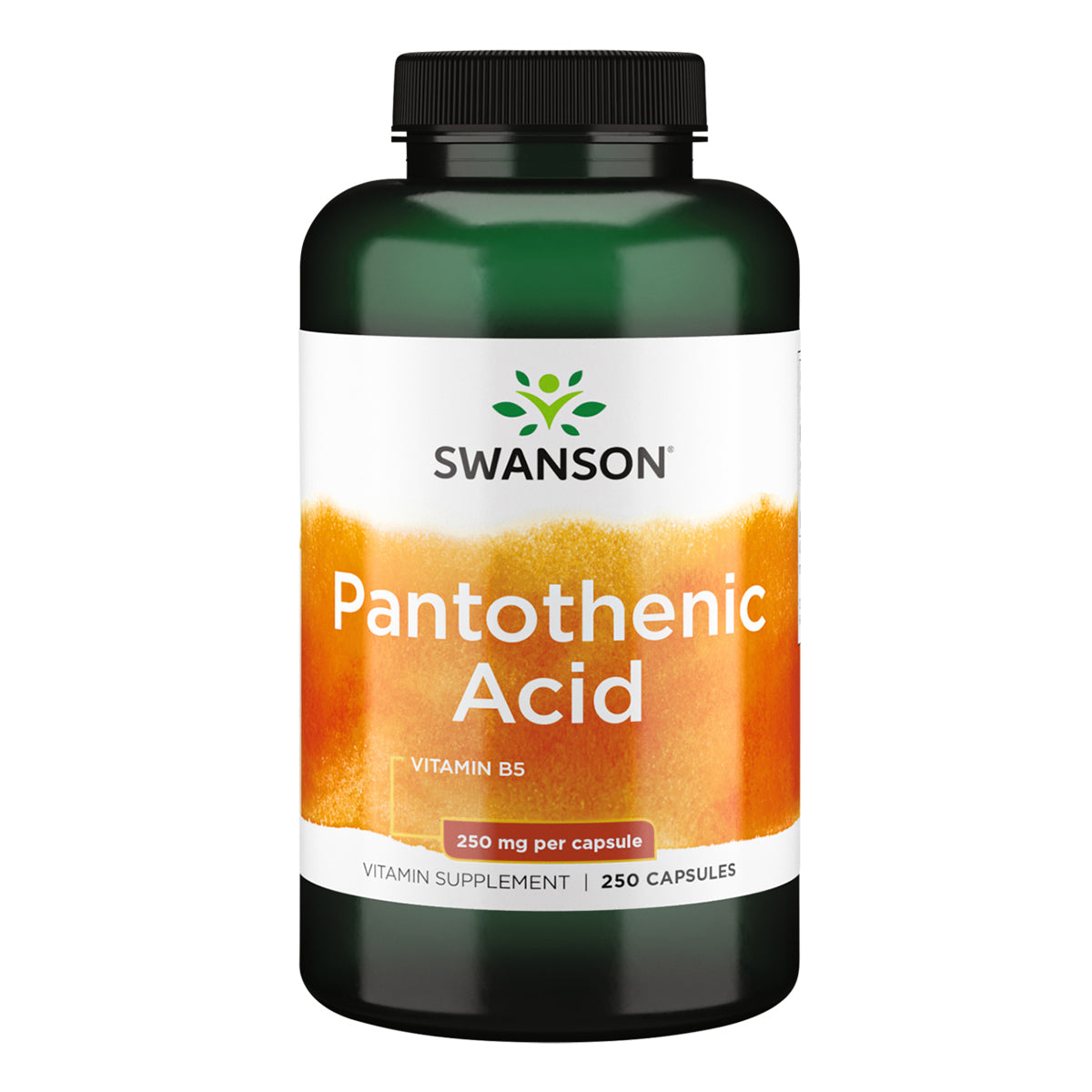 Swanson Suplemento de Acido Pantotenico, 250 cápsulas