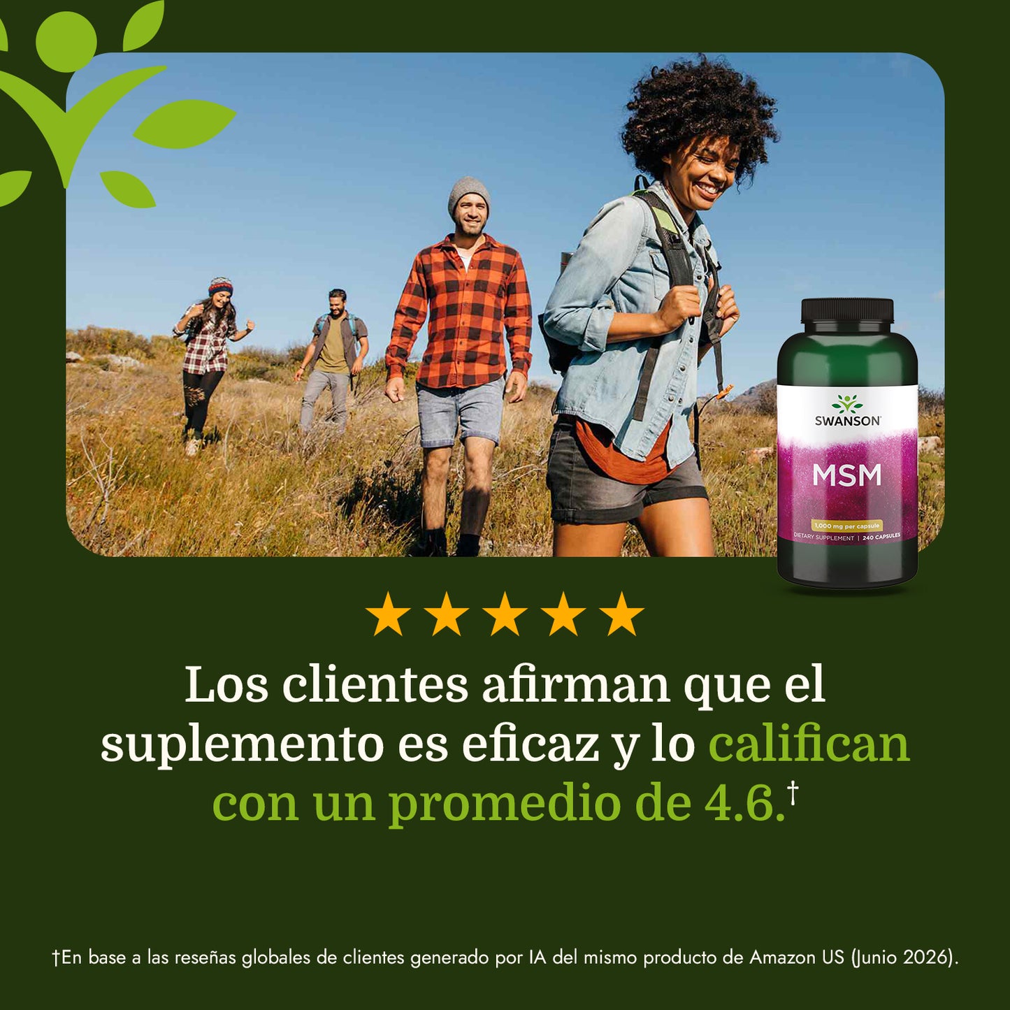 Swanson Ultra Suplemento de MSM 1000 mg, 240 cápsulas