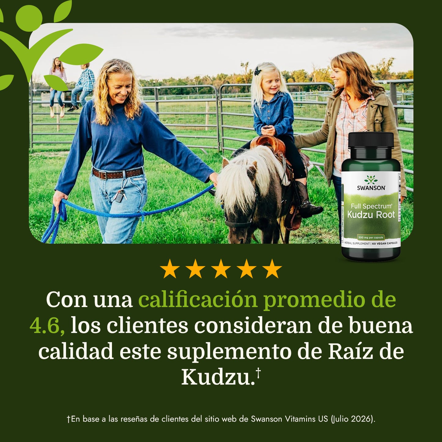 Swanson Suplemento de Raíz de Kudzu 500 mg, 60 Cápsulas