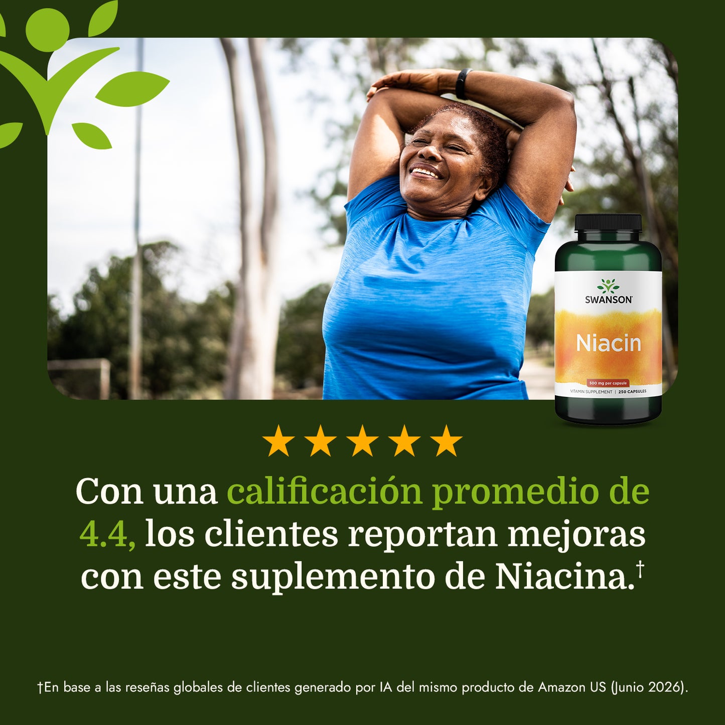 Swanson Suplemento de Niacina 500mg, 250 cápsulas