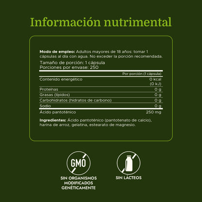 Swanson Suplemento de Acido Pantotenico, 250 cápsulas