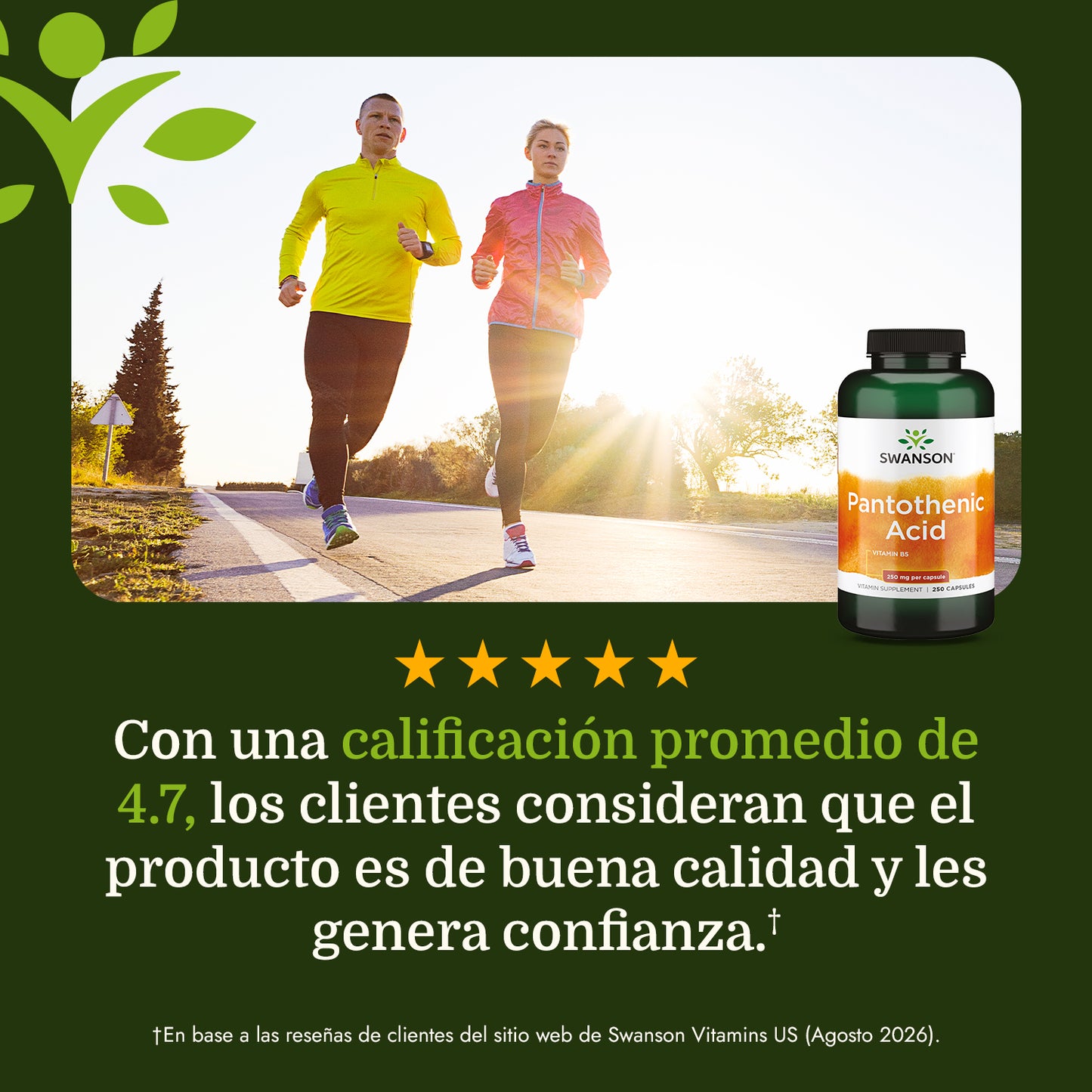 Swanson Suplemento de Acido Pantotenico, 250 cápsulas