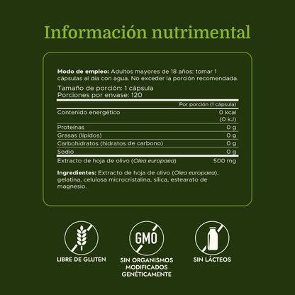 Swanson Suplemento de Extracto de hoja de olivo 500 mg, 120 cápsulas