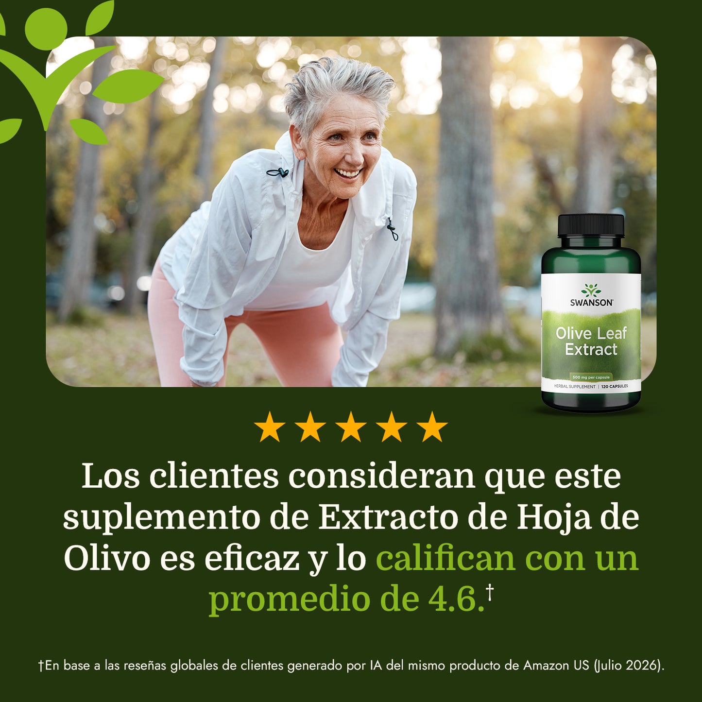 Swanson Suplemento de Extracto de hoja de olivo 500 mg, 120 cápsulas