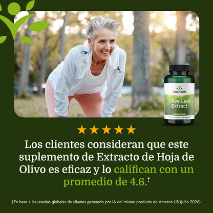 Swanson Suplemento de Extracto de hoja de olivo 500 mg, 120 cápsulas