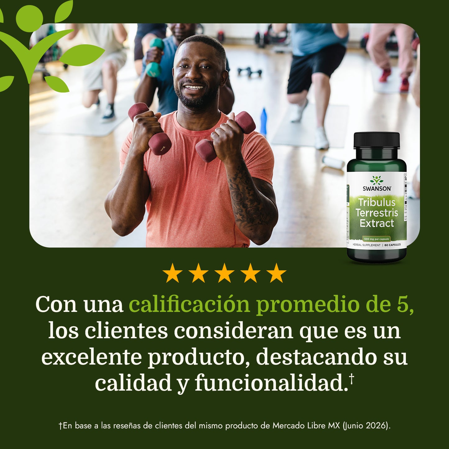 Swanson Suplemento Extracto de Tribuluss terrestris 500 mg, 60 Cápsulas